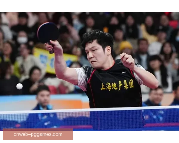 乒乓球积分榜大揭秘：实力之巅谁能问鼎？