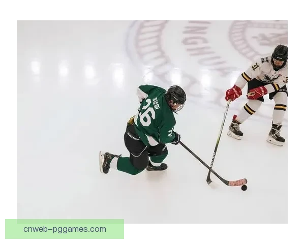 冰球赛事回放精彩瞬间盘点 冰球赛事回放精彩瞬间盘点