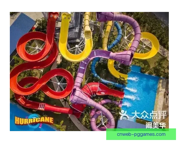 冲浪高手擂台赛：争夺波浪之巅