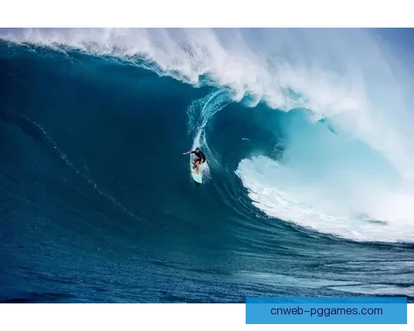 学会冲浪：简单教学视频让你成为冲浪高手