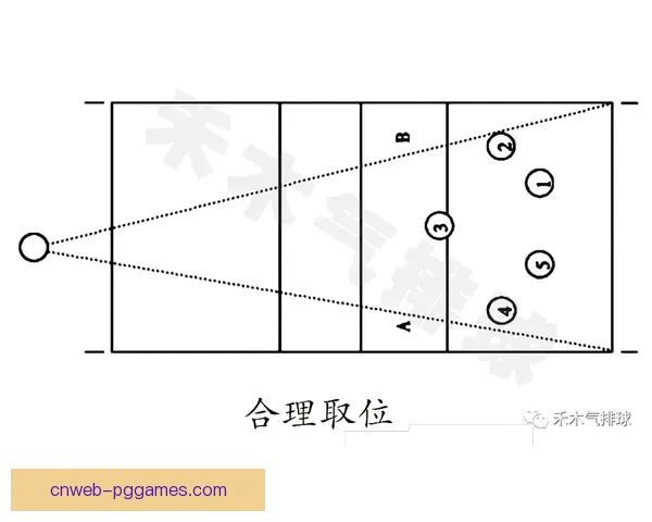 排球初学者的完全指南：从基本规则到技巧实战，助你快速掌握排球技能