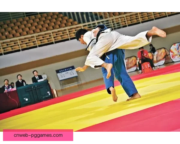 柔道锦标赛：激情角逐、技艺风采