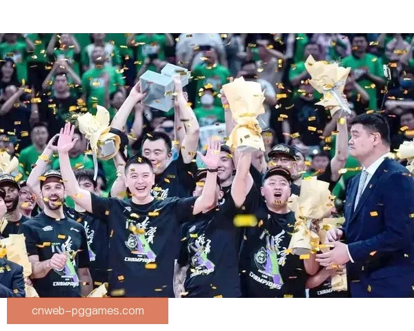 篮球冠军的辉煌历程：探寻胜利背后的故事