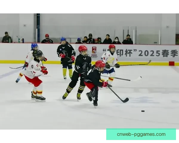 美式冰球:速度与激情的冰上对决 美式冰球:速度与激情的冰上对决