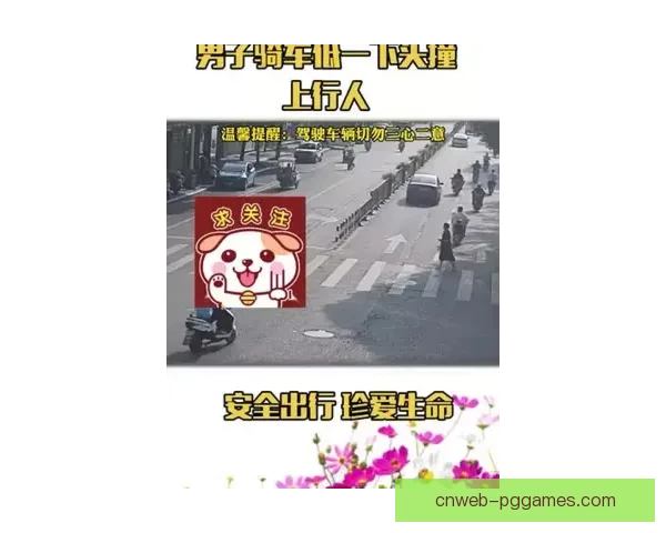 自行车规则：骑行安全从这里出发