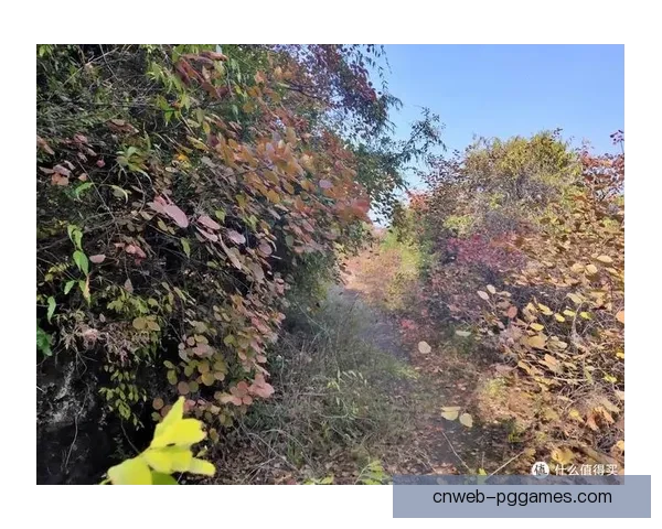 越野跑赛事实时比分更新服务